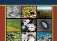 Advances in Virus Research: Environmental Virology and Virus Ecology